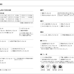 寵物鳥健康管理筆記本(NEW) 鳥類、鳥類、長尾小鸚鵡、健康檢查 第3張的照片