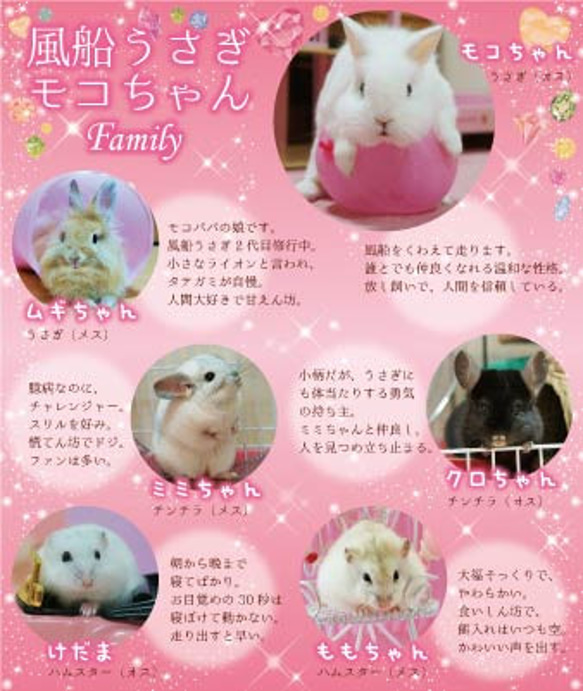 2017年 風船うさぎモコちゃんカレンダー　１冊　動物ハンドメイド2016 2枚目の画像