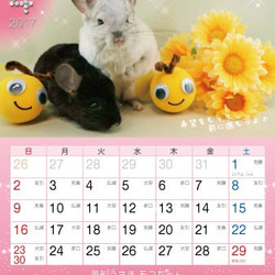 2017年 風船うさぎモコちゃんカレンダー2冊組（200円お得）動物ハンドメイド2016 6枚目の画像