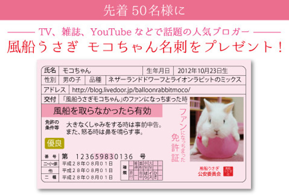 2017年 風船うさぎモコちゃんカレンダー4冊組（1000円お得）動物ハンドメイド2016 10枚目の画像