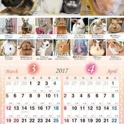 2017年 うさぎづくし壁掛けカレンダー4冊組（1000円お得）動物ハンドメイド2016 3枚目の画像