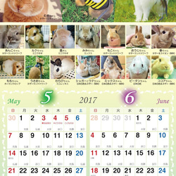 2017年 うさぎづくし壁掛けカレンダー4冊組（1000円お得）動物ハンドメイド2016 4枚目の画像