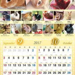 2017年 うさぎづくし壁掛けカレンダー4冊組（1000円お得）動物ハンドメイド2016 6枚目の画像