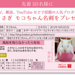 2017年 うさぎづくし壁掛けカレンダー4冊組（1000円お得）動物ハンドメイド2016 9枚目の画像