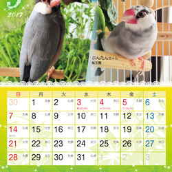 2017年 文鳥づくし卓上カレンダー　１冊　動物ハンドメイド2016 6枚目の画像