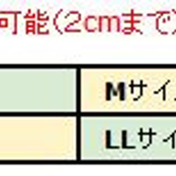 兔子伊莉莎白項圈（S號） 頸圍（約）13-15cm 術後護理用品 第3張的照片