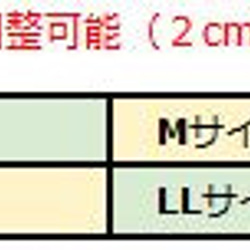 兔子伊莉莎白項圈（L號） 頸圍（約）17-19cm 術後護理用品 第3張的照片