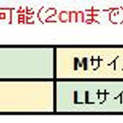 兔子伊莉莎白項圈（LL尺寸） 頸圍（約）19-21cm 術後護理用品 第3張的照片