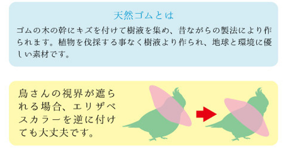 小鳥用 エリザベスカラー 3枚組　■ラブバード用 術後 介護用品 3枚目の画像