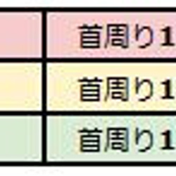 小鳥用 エリザベスカラー 3枚組　■ラブバード用 術後 介護用品 4枚目の画像