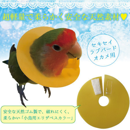 *＊ ハンドメイド　小鳥用　エリザベスカラー ＊* ふんわり柔らかタイプ 小鳥用 エリザベスカラー 3枚組 □オカメインコ用 術後 介護用品