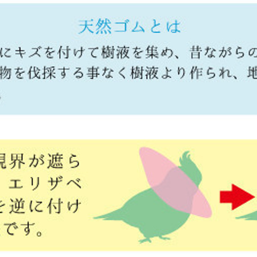 小鳥用 エリザベスカラー 3枚組 □オカメインコ用 術後 介護用品