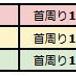 小型鳥類伊麗莎白項圈，3 件套 ■玄鳳鸚鵡手術後護理用品 第4張的照片