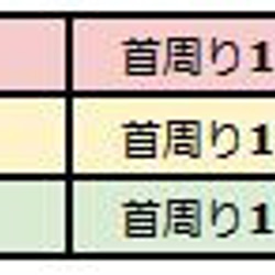 小型鳥類伊麗莎白項圈，5 件套 ■玄鳳鸚鵡手術後護理用品 第5張的照片