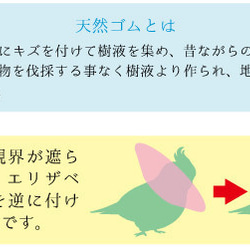 5 件伊莉莎白小鳥項圈愛情鳥術後護理用品 第3張的照片