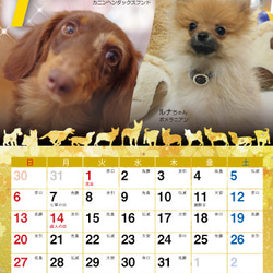 2019年 犬づくし卓上カレンダー 2枚目の画像