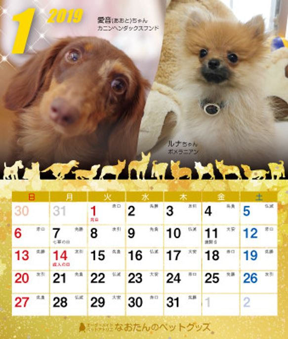 2019年 犬づくし卓上カレンダー 2枚目の画像