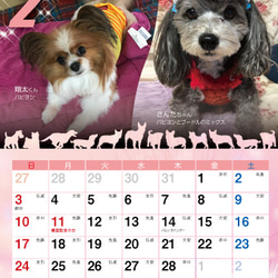 2019年 犬づくし卓上カレンダー 3枚目の画像