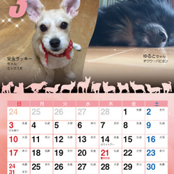 2019年 犬づくし卓上カレンダー 4枚目の画像