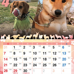 2019年 犬づくし卓上カレンダー 5枚目の画像