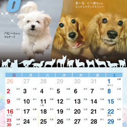 2019年 犬づくし卓上カレンダー 7枚目の画像