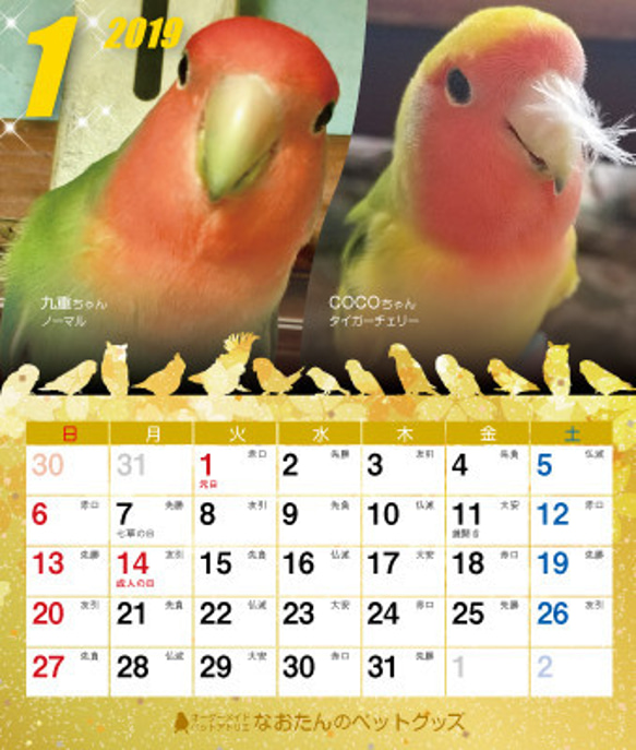 2019年 コザクラづくし卓上カレンダー（コザクラインコ） 2枚目の画像