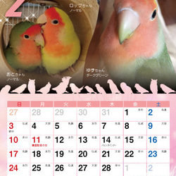 2019年 コザクラづくし卓上カレンダー（コザクラインコ） 3枚目の画像