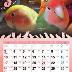 2019年 コザクラづくし卓上カレンダー（コザクラインコ） 4枚目の画像