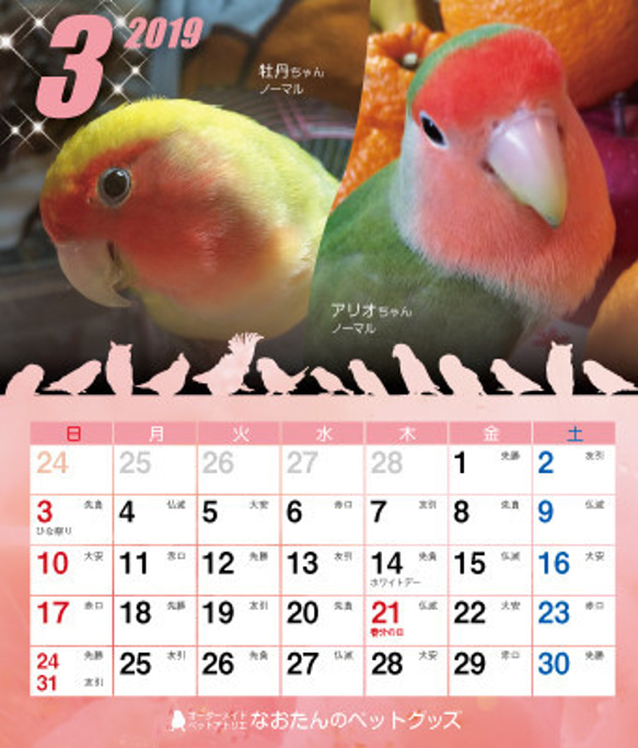 2019年 コザクラづくし卓上カレンダー（コザクラインコ） 4枚目の画像