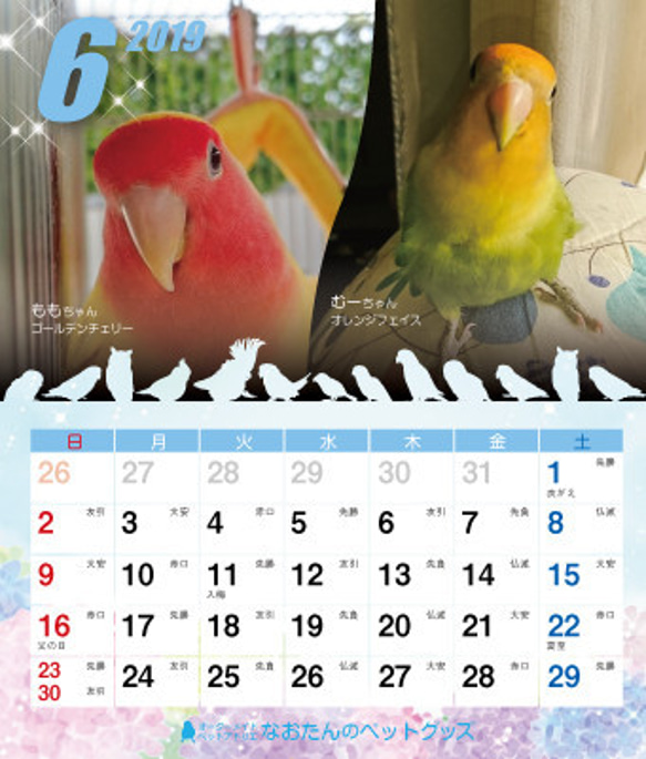 2019年 コザクラづくし卓上カレンダー（コザクラインコ） 7枚目の画像