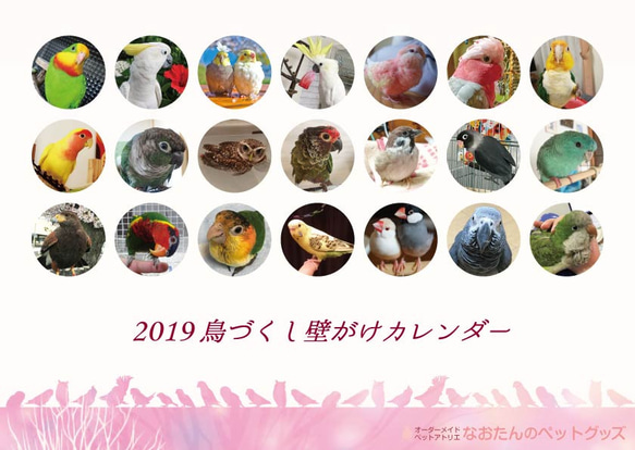 2019年 鳥づくし壁がけカレンダー 1枚目の画像