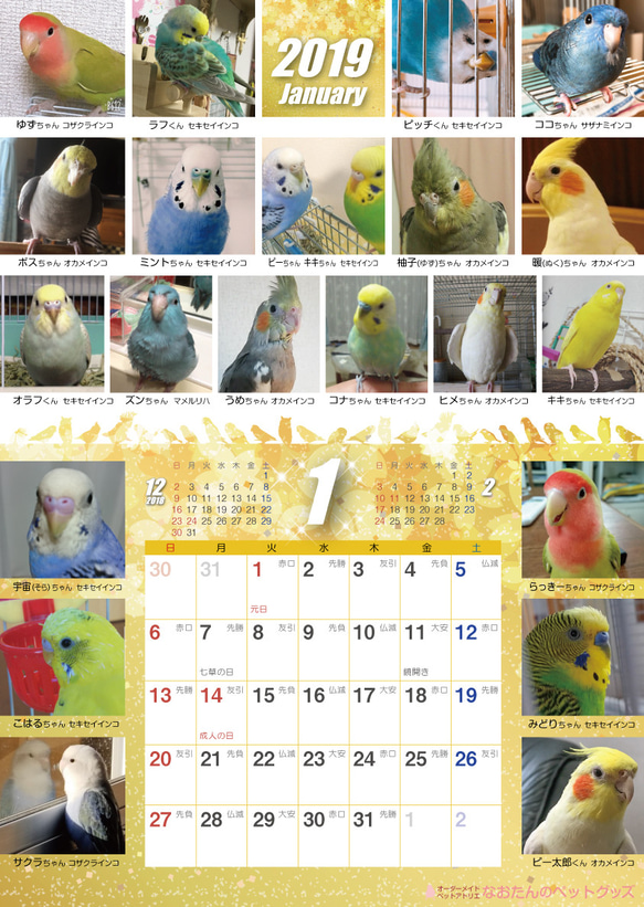 2019年 鳥づくし壁がけカレンダー 2枚目の画像