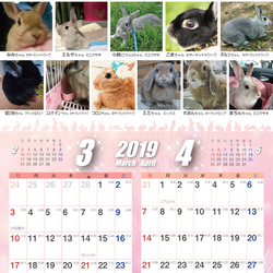 2019年 うさぎづくし壁がけカレンダー 3枚目の画像