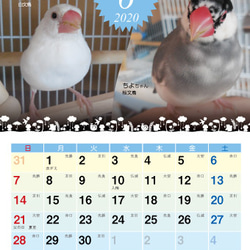 2020年 文鳥づくし卓上カレンダー 8枚目の画像