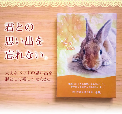 うちの子　鳥　犬　猫　うさぎ　私とペットの「思い出キャンバス」SM号