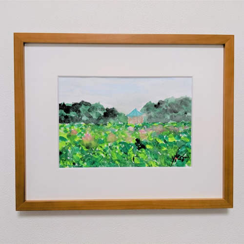 水彩画「菖蒲と水草」
