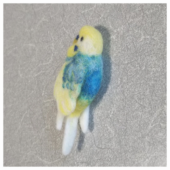 セキセイインコ ブローチ 羊毛フェルト （黄×水色） 2枚目の画像