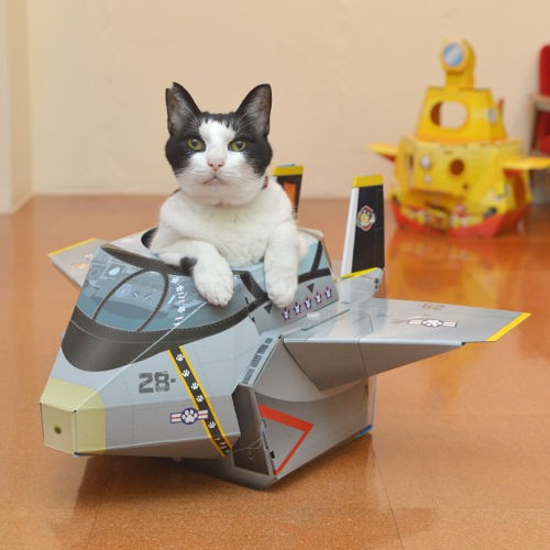 トム猫　学習机用②本棚 トム猫 学習机用②本棚 Amazon | YeTom パソコンデスク 机 学習机 右