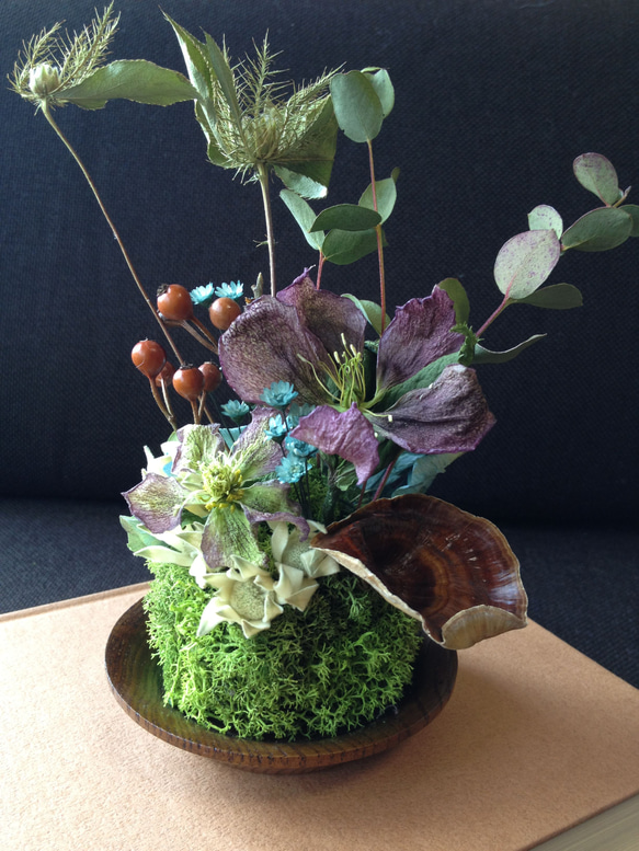 苔梅　エディブルフラワー　飾り葉 苔梅 エディブルフラワー 飾り葉