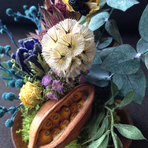 苔と花 ＊ドライフラワー苔玉アレンジ＊ ドライフラワー 木村植物工作