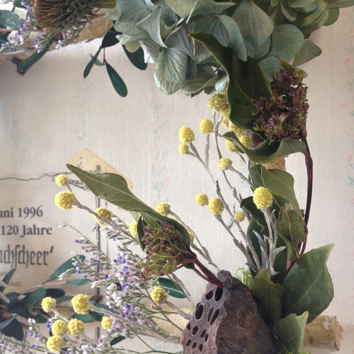 みどりの額縁＊ドライフラワーのフレームアレンジ＊ リース 木村植物