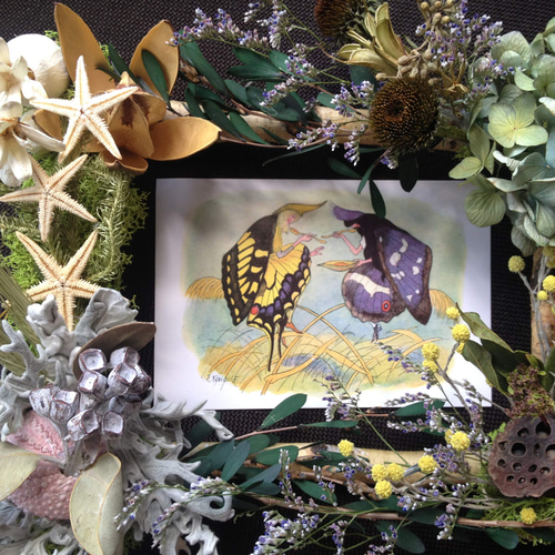 みどりの額縁＊ドライフラワーのフレームアレンジ＊ リース 木村植物