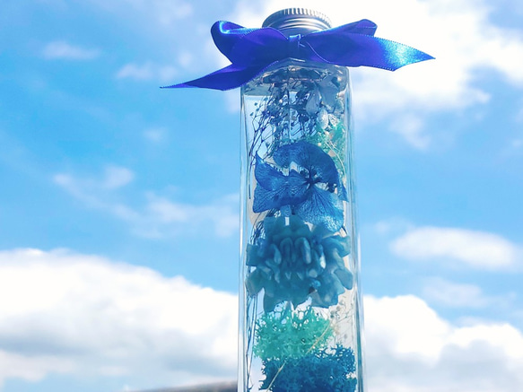 ソーラーダリアのブルーハーバリウム（M) ハーバリウム・植物標本 深海