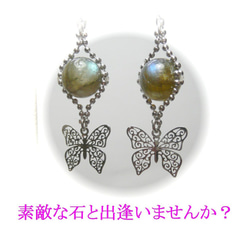 【ふわりバタフライ】軽やかな蝶とラブラドライトのピアス 4枚目の画像