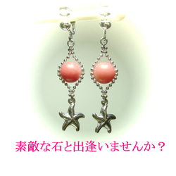 【渚】ピンク珊瑚とヒトデのイヤリング 4枚目の画像