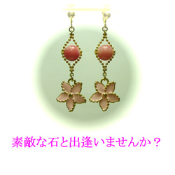 【セントポーリア】ピンク珊瑚のイヤリング 4枚目の画像