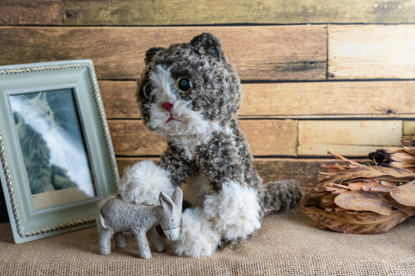 きじ猫・きじ太郎 7枚目の画像