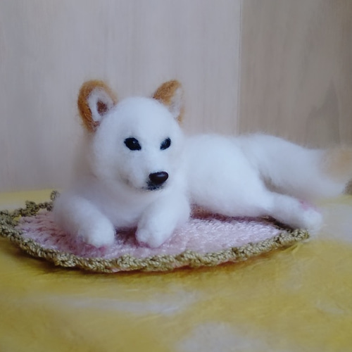 羊毛フェルト　白柴　紀州犬　白い子犬　パピー犬 羊毛フェルト 白柴 紀州犬 白い子犬 パピー犬
