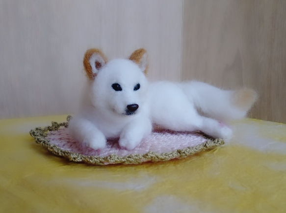 白柴犬 羊毛フェルト はなちよ 通販 4841676｜Creema(クリーマ)