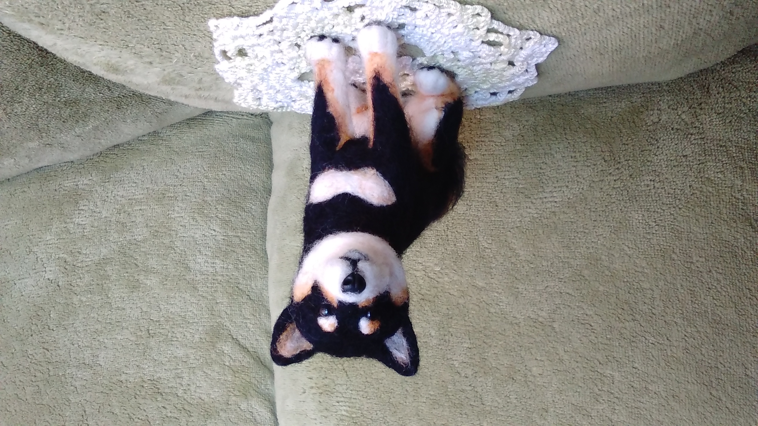 ☆羊毛フェルト 犬 豆柴 黒柴子犬 ハンドメイド☆